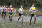 Mens under-20s 2018 British Inter Counties Cross Country Champs., Prestwold Hall, Loughborough. Photo: David T. Hewitson/Sports for All Pics